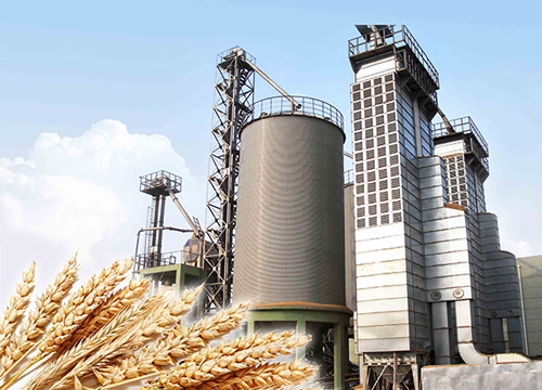 谷類(lèi)存儲(chǔ)